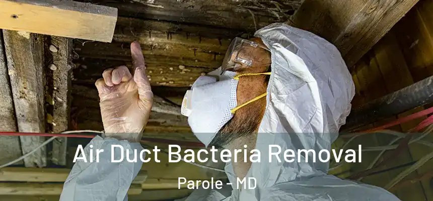 Air Duct Bacteria Removal Parole - MD