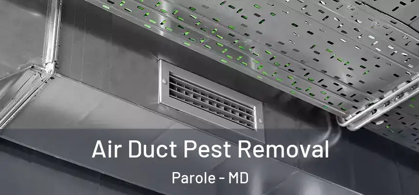  Air Duct Pest Removal Parole - MD