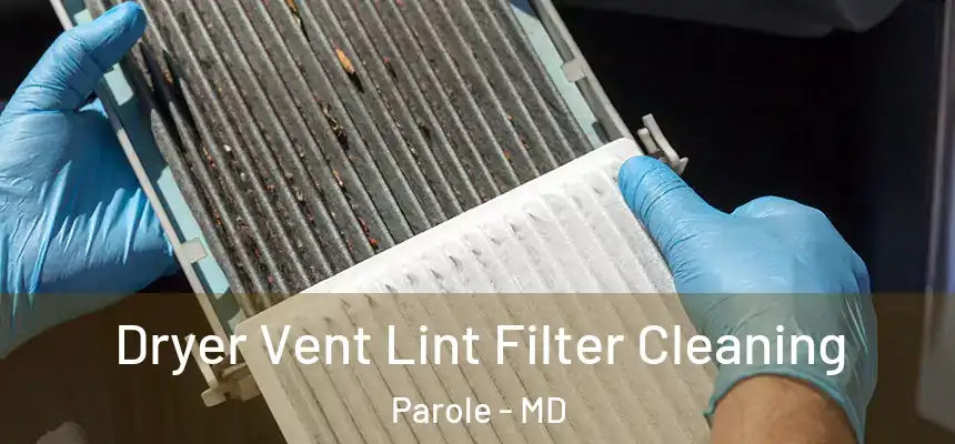 Dryer Vent Lint Filter Cleaning Parole - MD