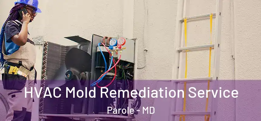  HVAC Mold Remediation Service Parole - MD