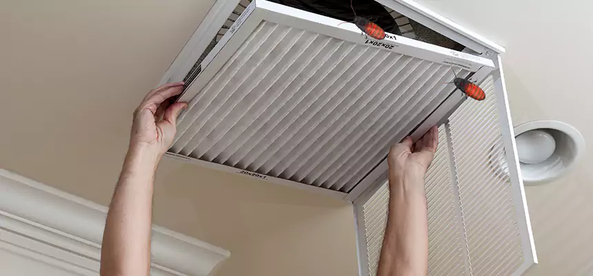 Our Insect Removal from Air Ducts Services in Parole, MD
