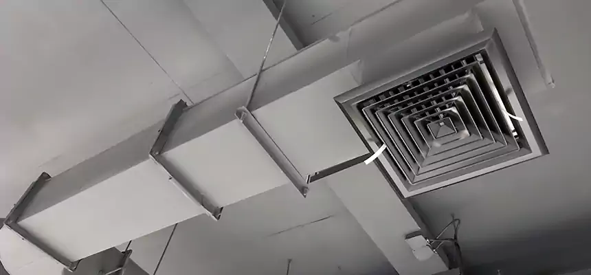 Our Pest Removal From Ducts Services in Parole, MD