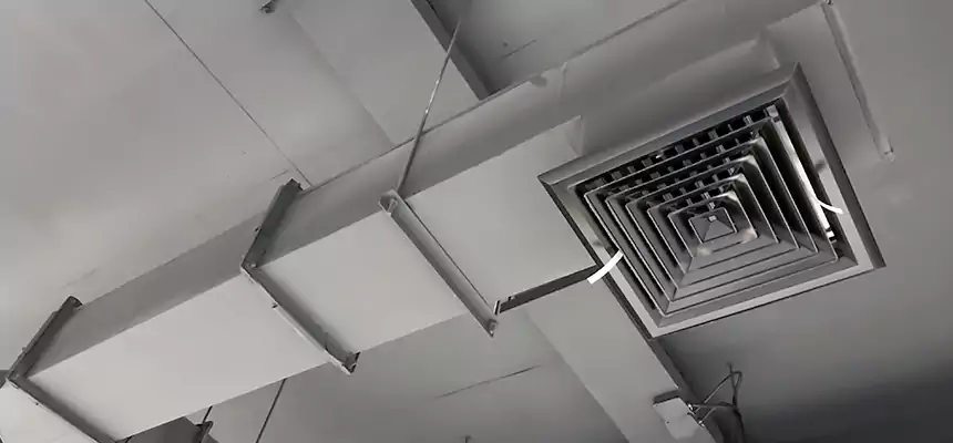 Our Rodent Droppings In Vents Services in Parole, MD