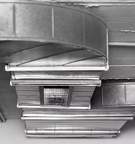 Professional Air Duct Pet Hair Removal in Parole, MD