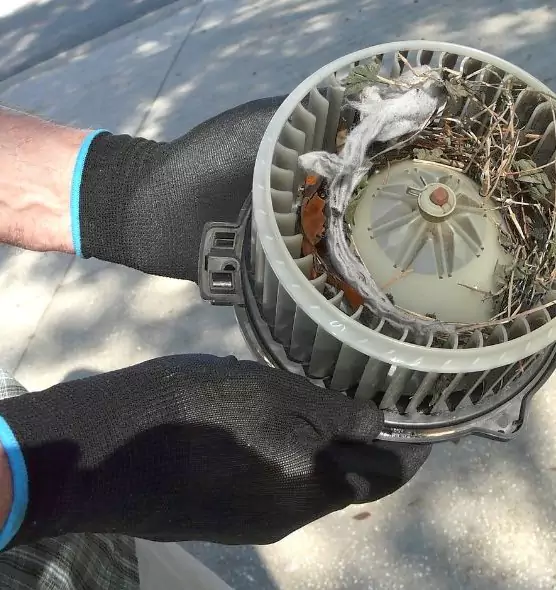 About Air Duct Rat Removal in Parole, MD