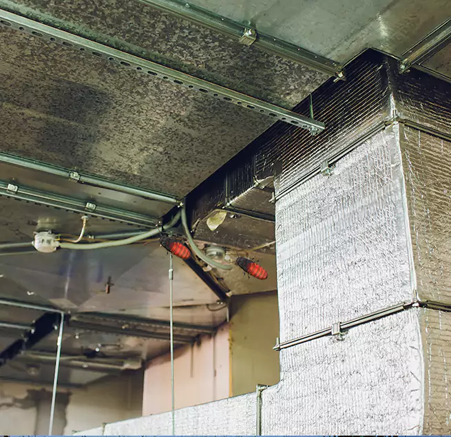 Why Homeowners & Businesses Trust Us Parole, MD?