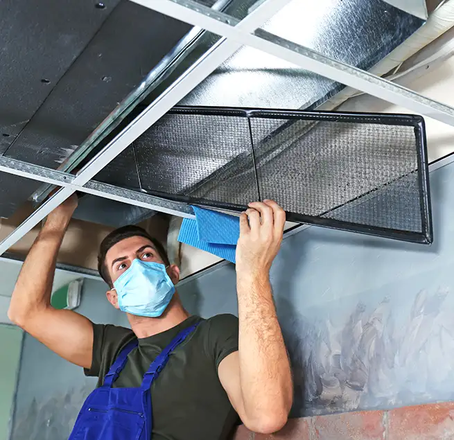 Why Homeowners & Businesses Trust Us in Parole, MD?